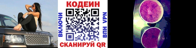 Codein Purple Drank  где купить наркоту  KRAKEN рабочий сайт  Георгиевск 