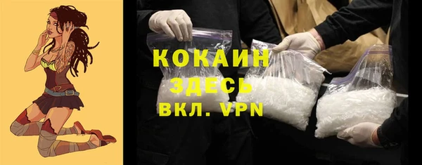 шишки Армянск