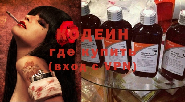 гашик Арсеньев