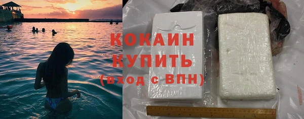 гашик Арсеньев