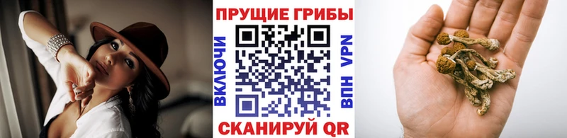 mega ССЫЛКА  даркнет сайт  Георгиевск  Галлюциногенные грибы ЛСД 